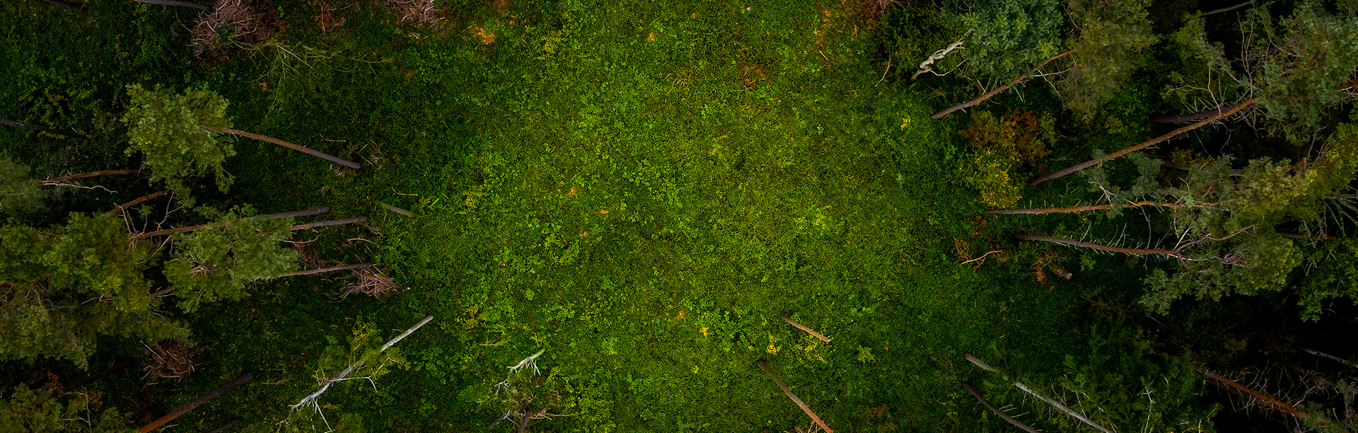 ZHEJIANG DONGJIE COOLINGTOWER CO., LTD.